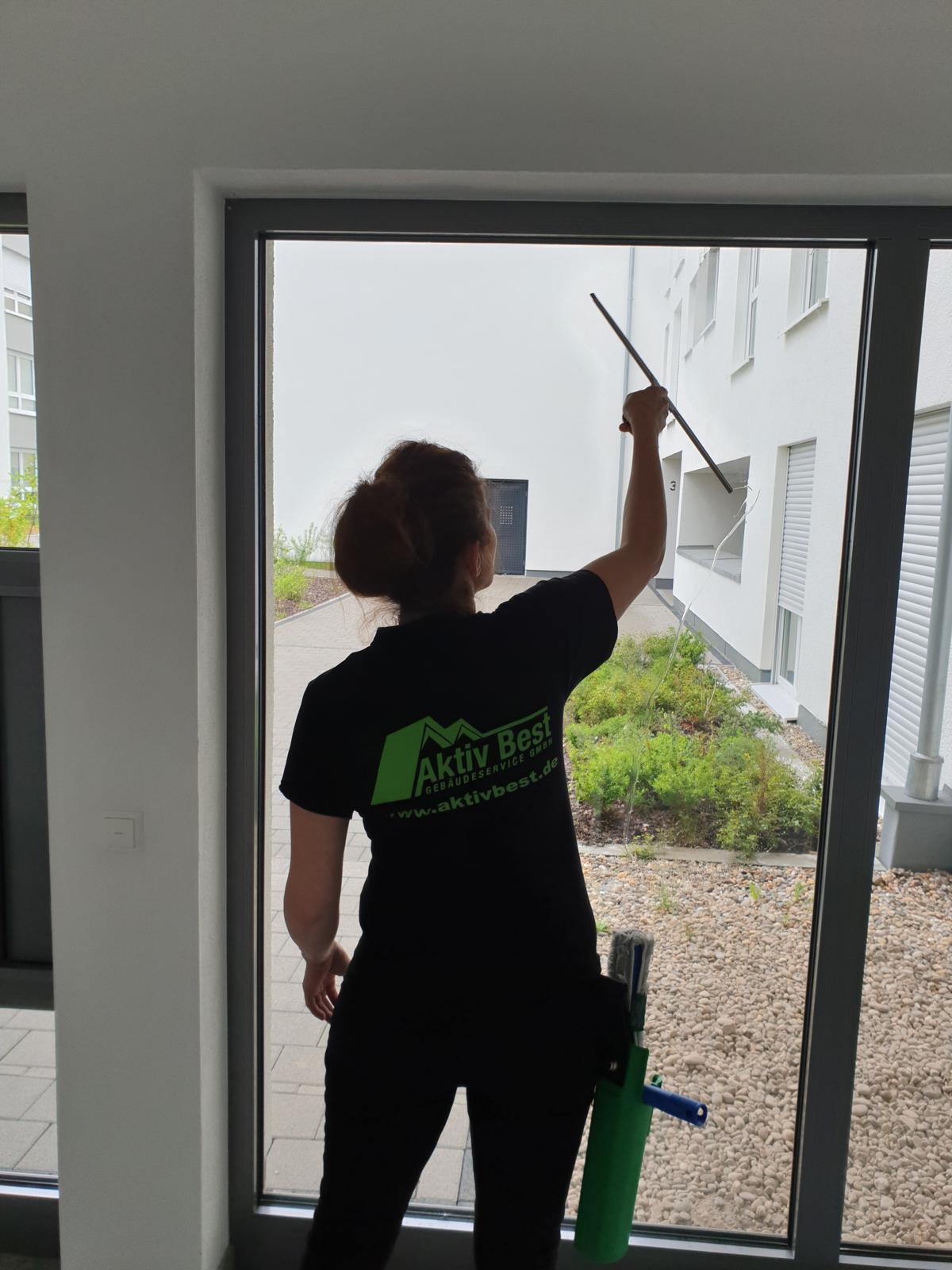 Reinigung von Eingangsglas und Rahmen