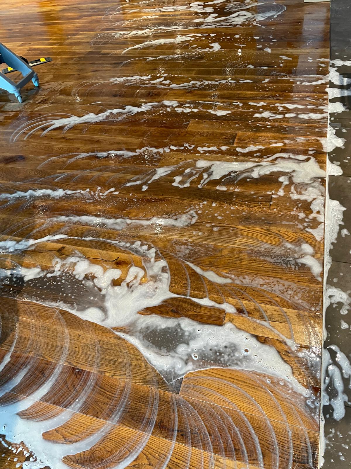 Professionelle Bodenreinigung mit Einscheibenmaschine